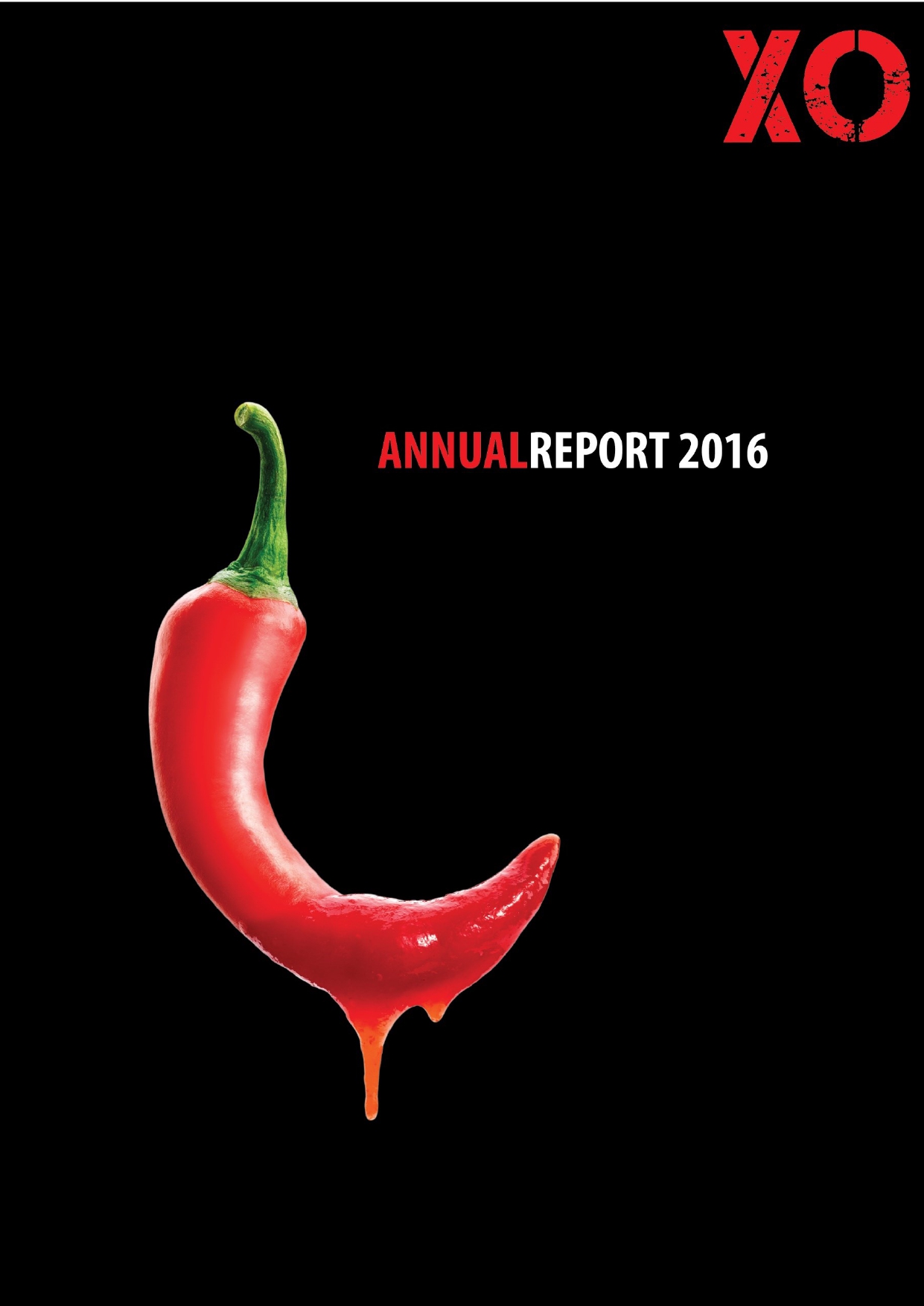 Cover of Annual Report 2016